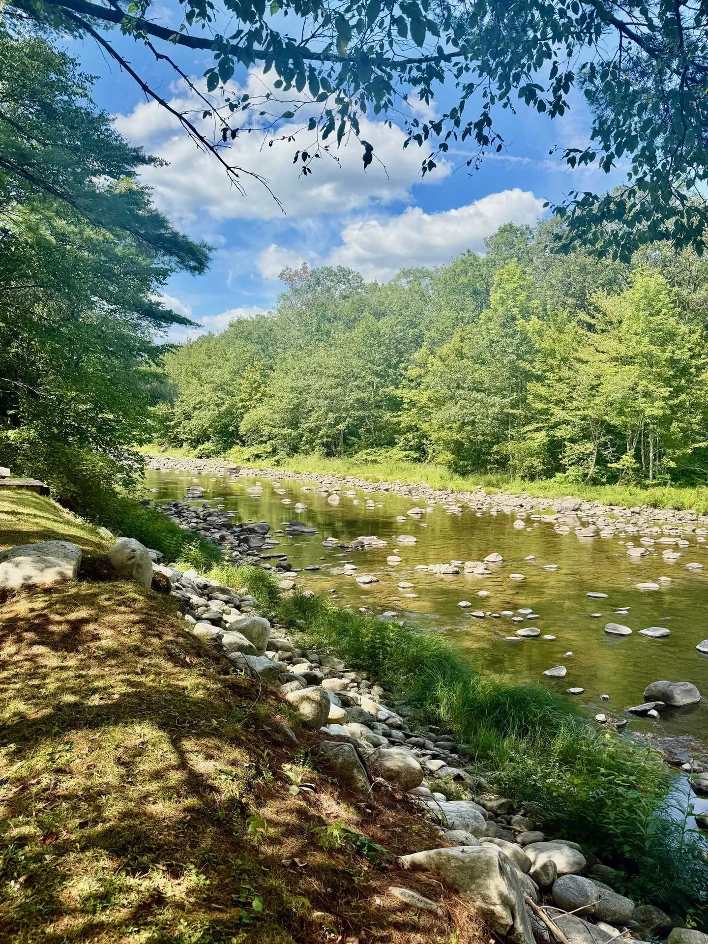 2000 Route 30 Jamaica VT 05343