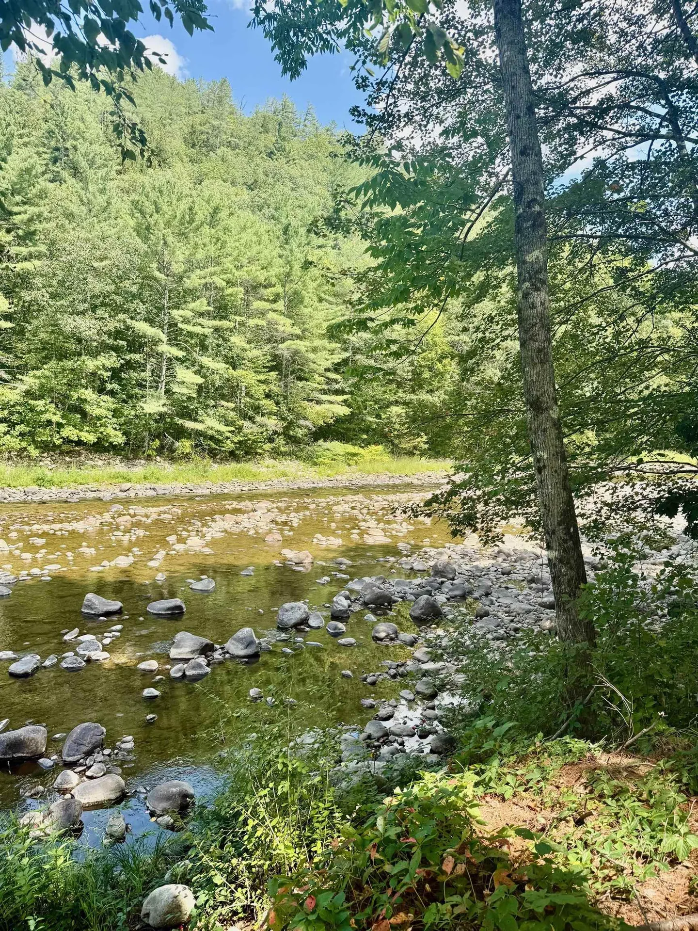 2000 Route 30 Jamaica VT 05343