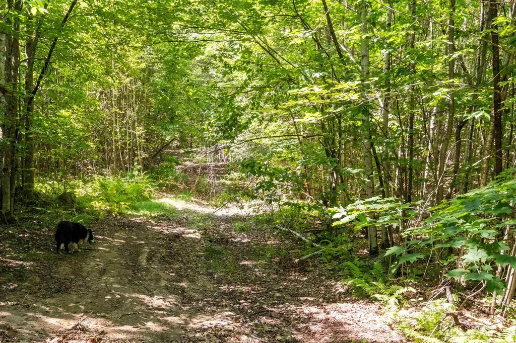 26 Fortune Road Bradford NH 03221