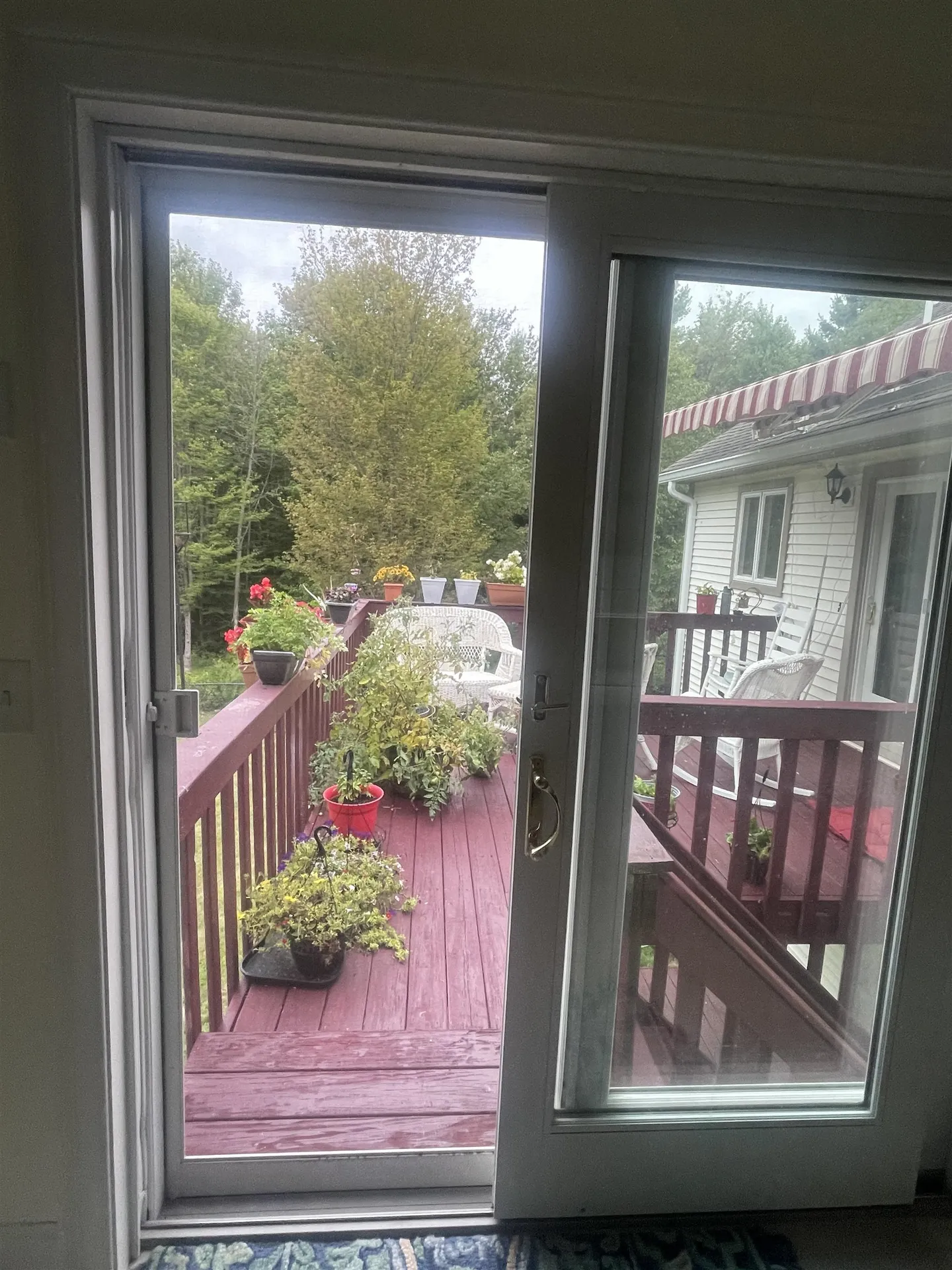 38 Paradise Lane Mount Holly VT 05758