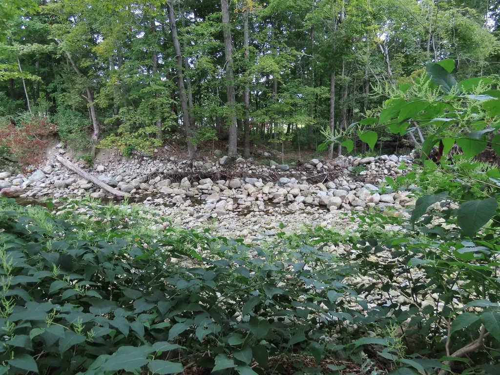 1138 Main Road Stamford VT 05352