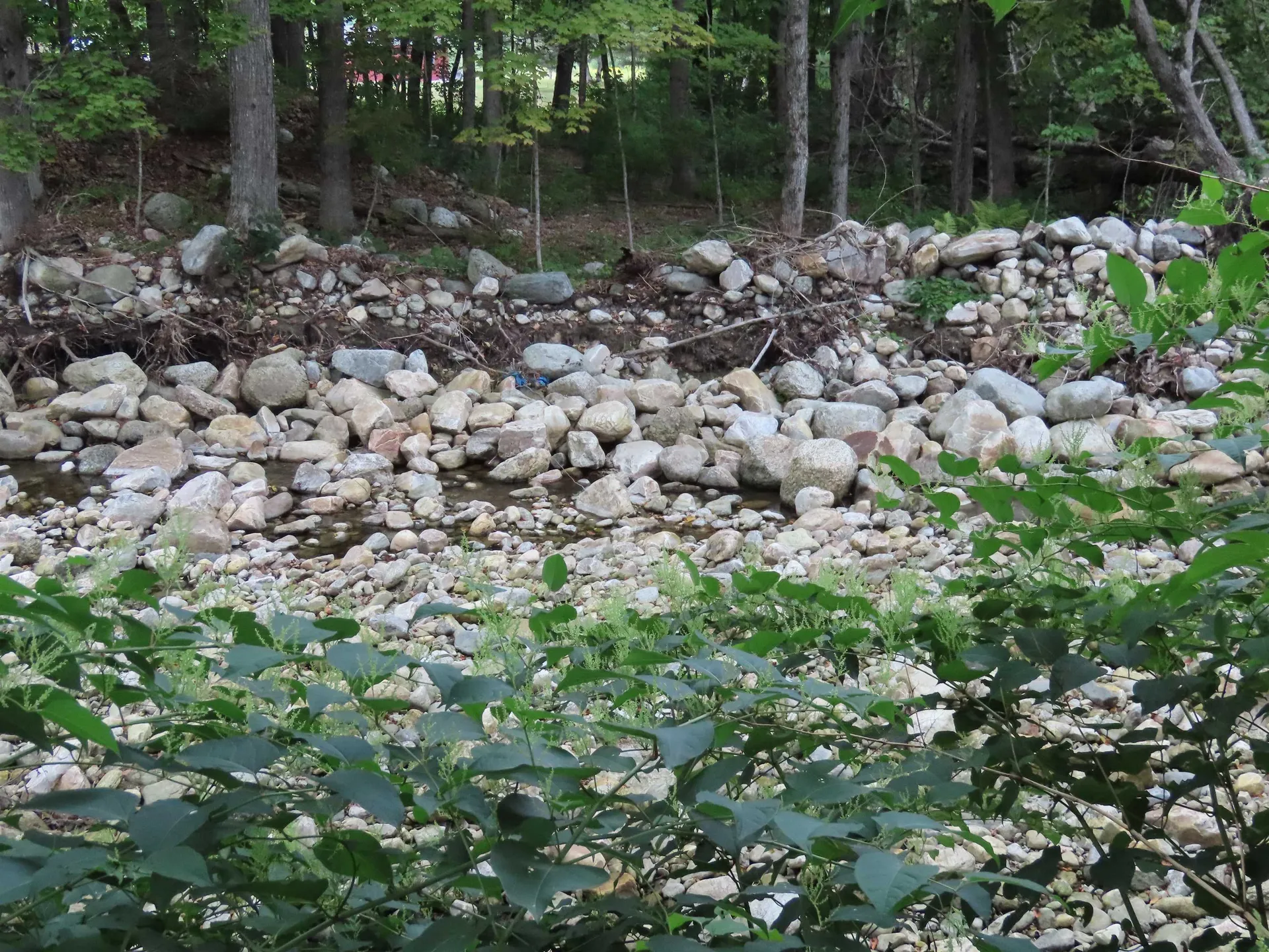 1138 Main Road Stamford VT 05352