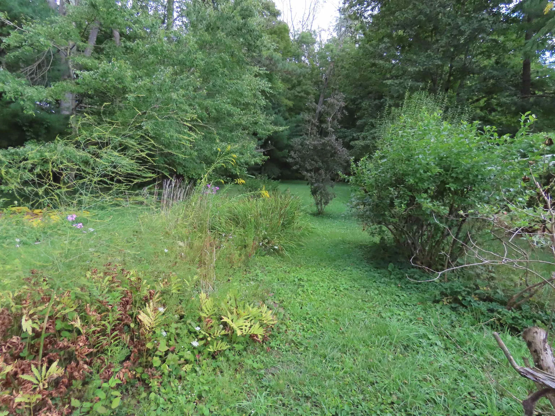 1138 Main Road Stamford VT 05352