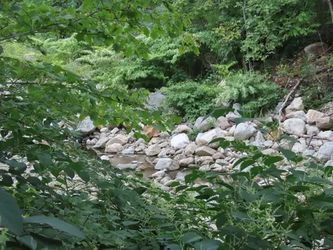 1138 Main Road Stamford VT 05352