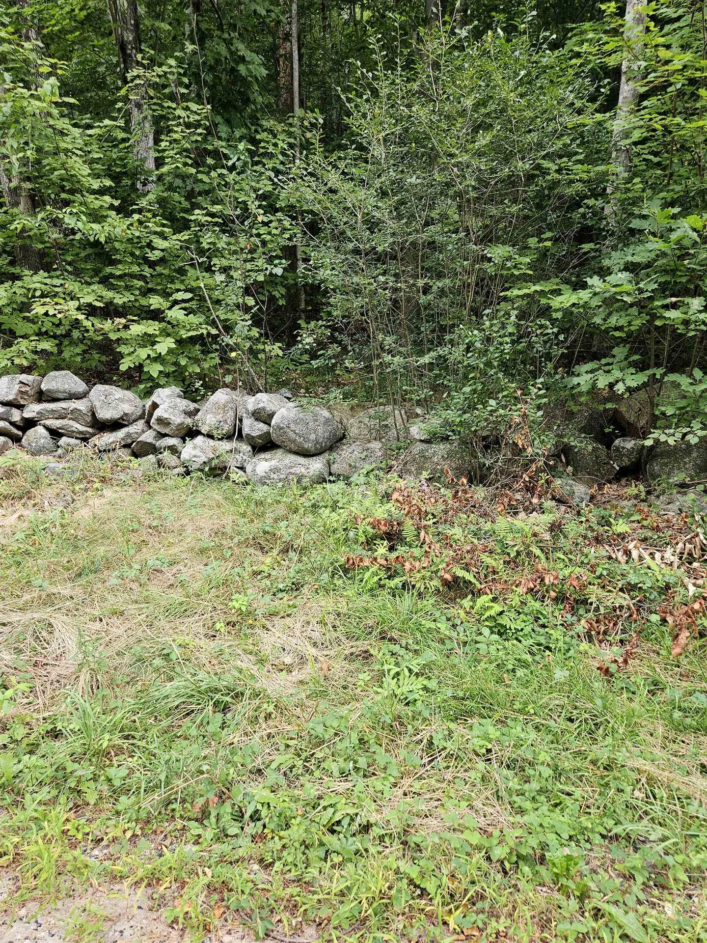 284 Ossipee Mountain Road Moultonborough NH 03254