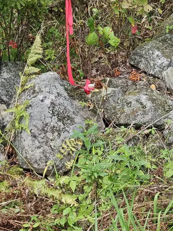 284 Ossipee Mountain Road Moultonborough NH 03254