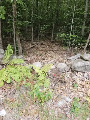 284 Ossipee Mountain Road Moultonborough NH 03254