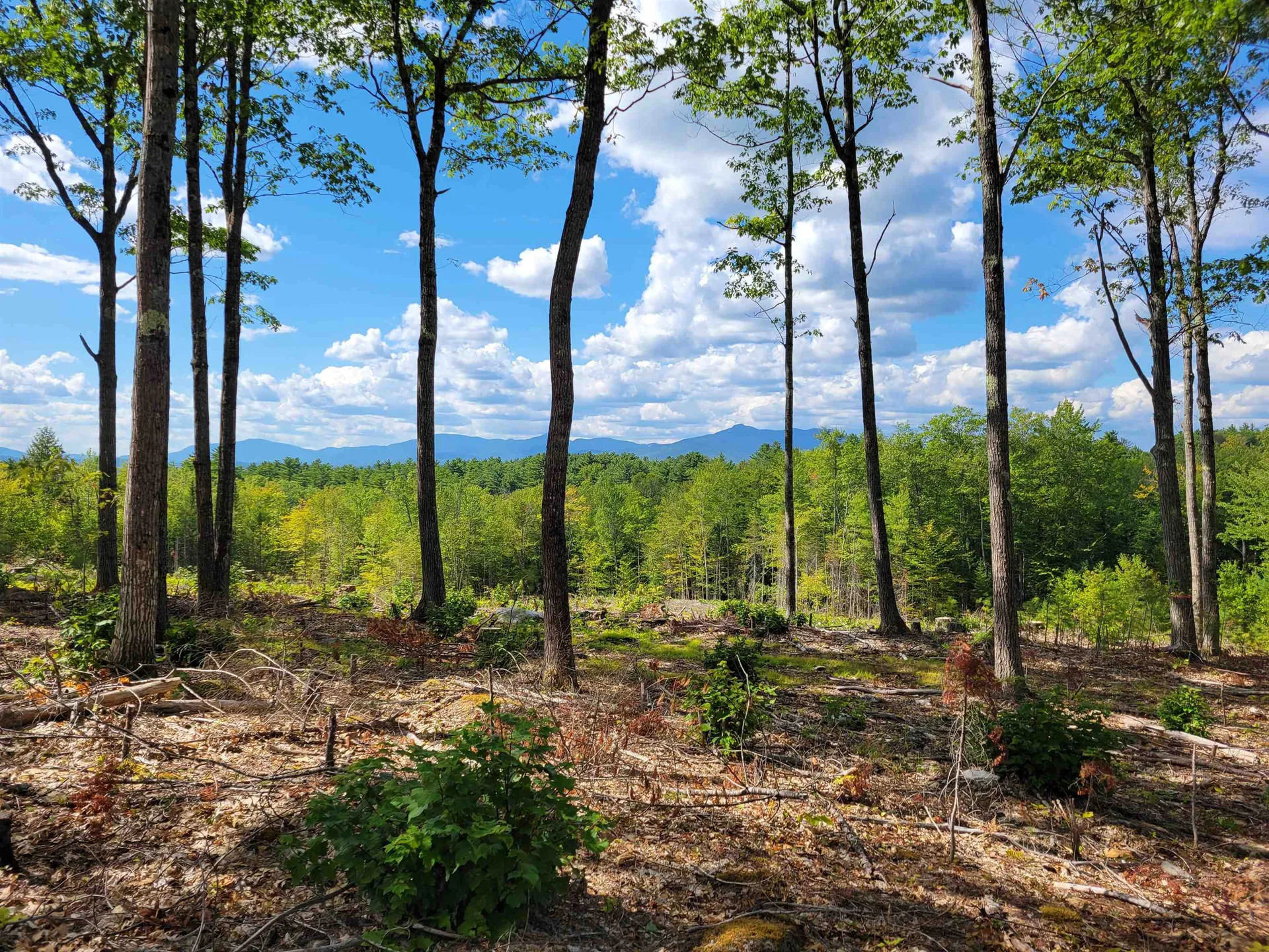 238-1-1.2 Maple Grove Road Madison NH 03849