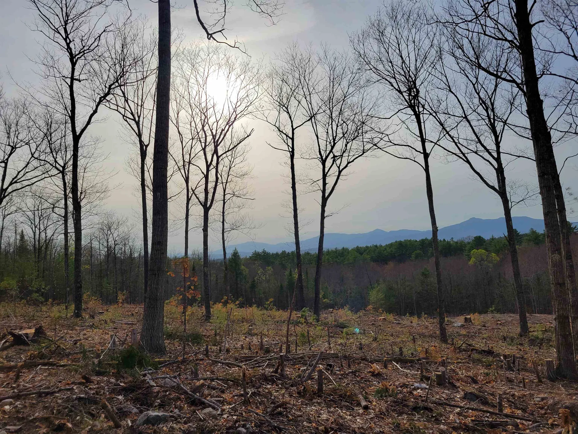 238-1-1.2 Maple Grove Road Madison NH 03849