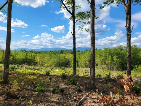 238-1-1.2 Maple Grove Road Madison NH 03849