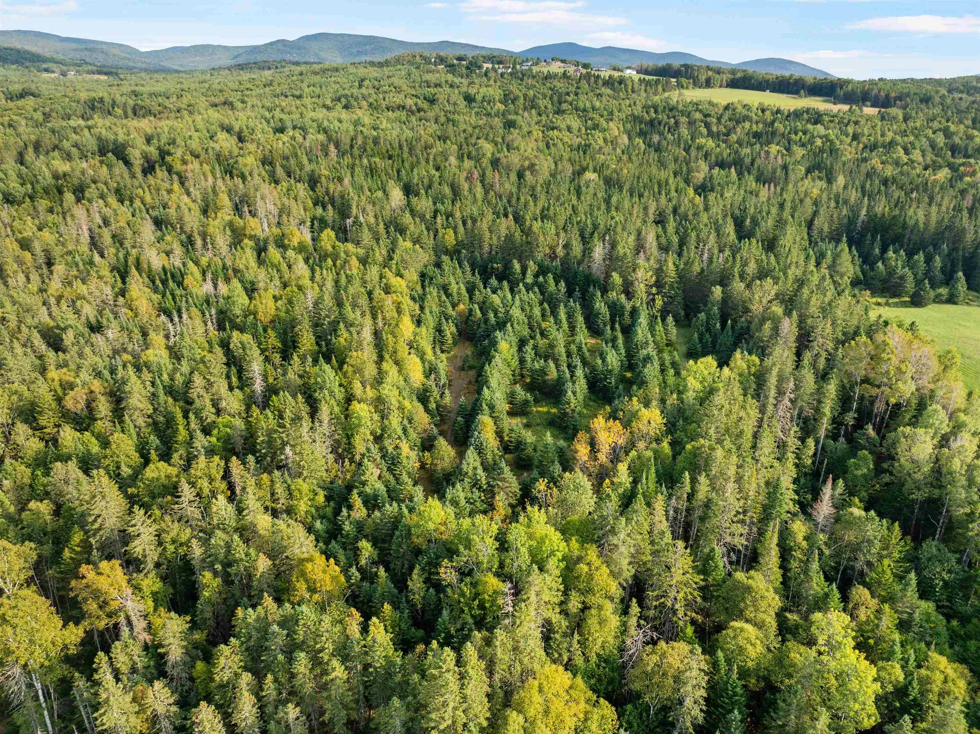 Harrys Way Colebrook NH 03576