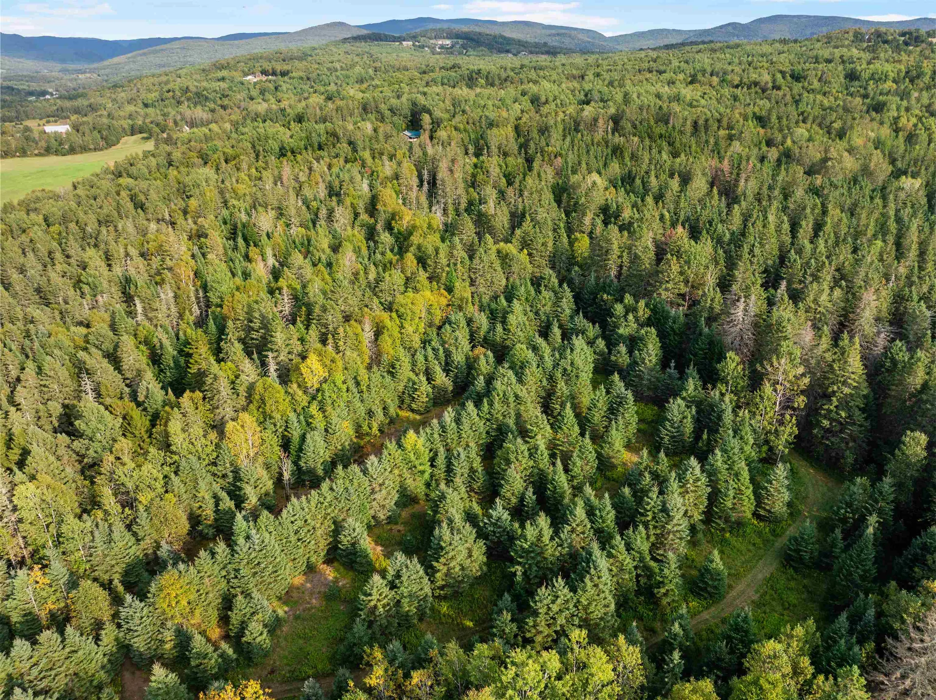 Harrys Way Colebrook NH 03576