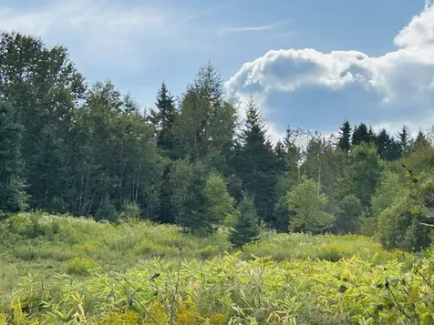 Harrys Way Colebrook NH 03576