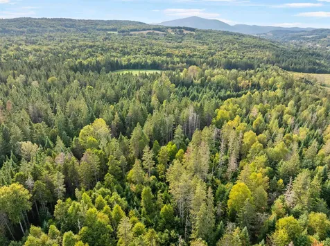 Harrys Way Colebrook NH 03576