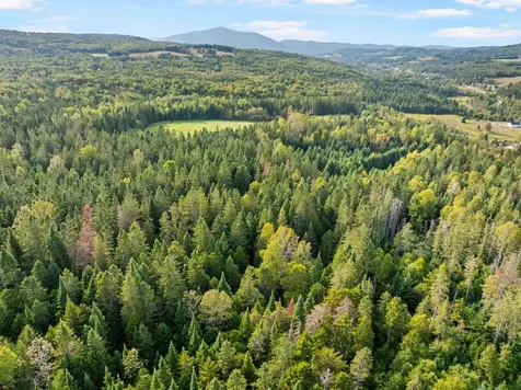 Harrys Way Colebrook NH 03576