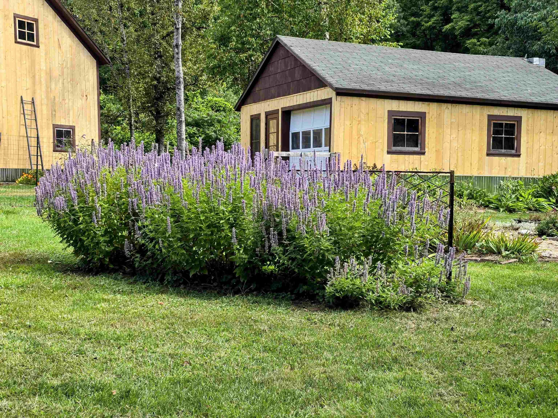 153 High Street Bath NH 03740