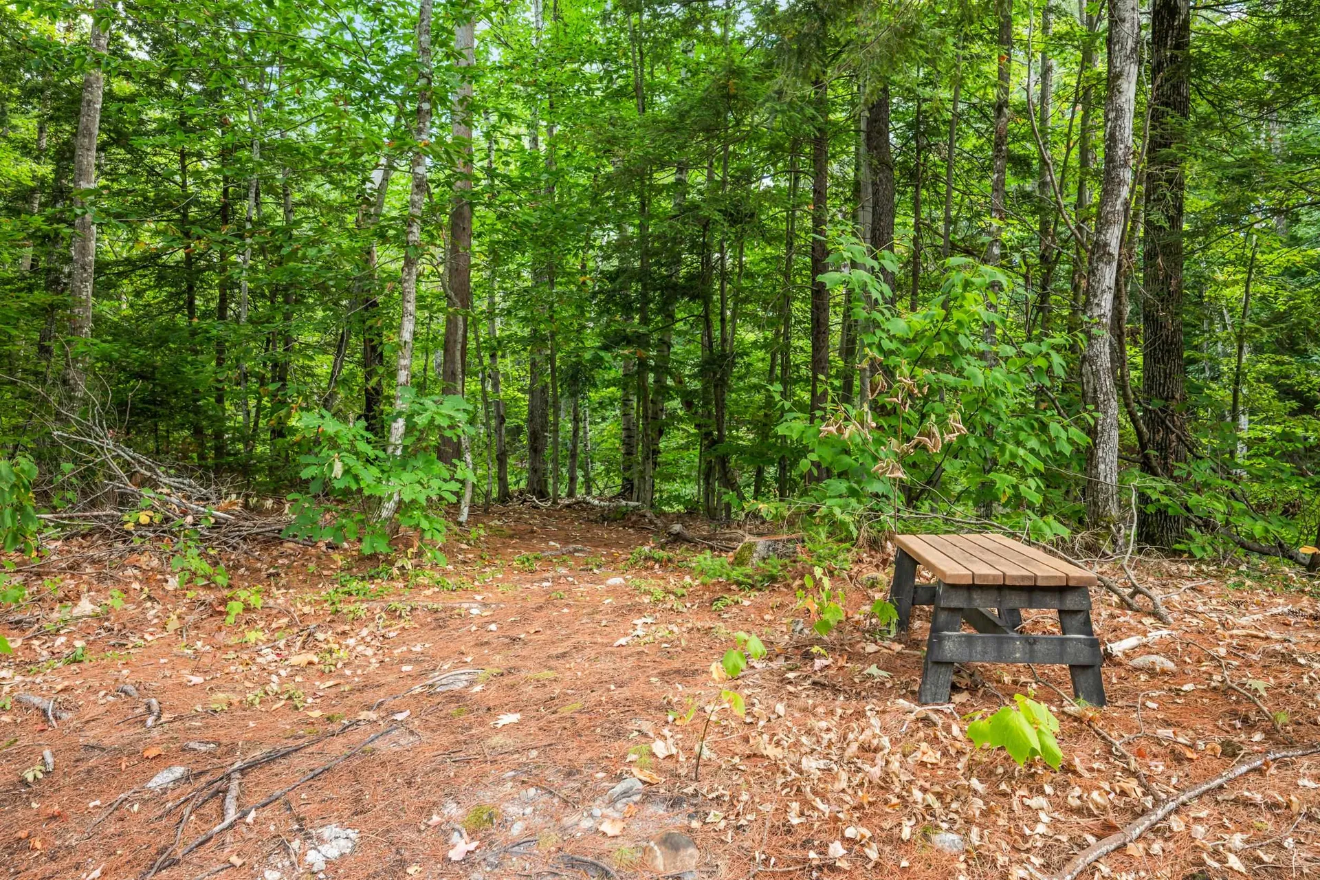 263 Covered Bridge Lane Bartlett NH 03812