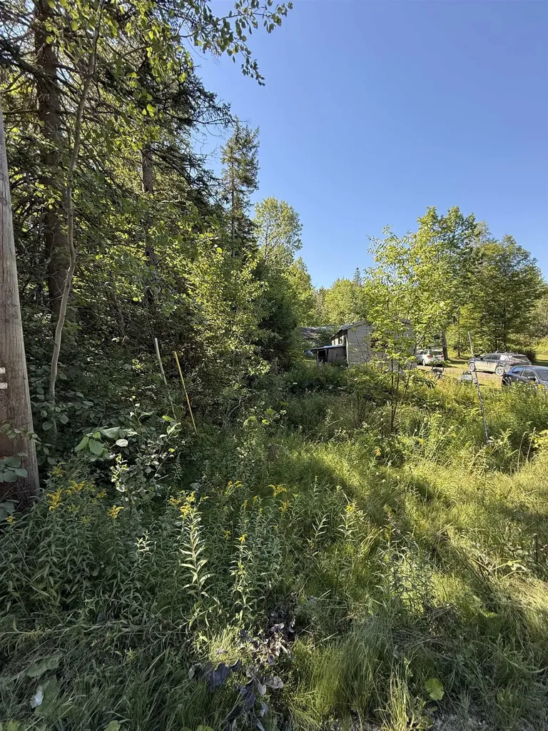484 Therriault Hill Williamstown VT 05679-9680