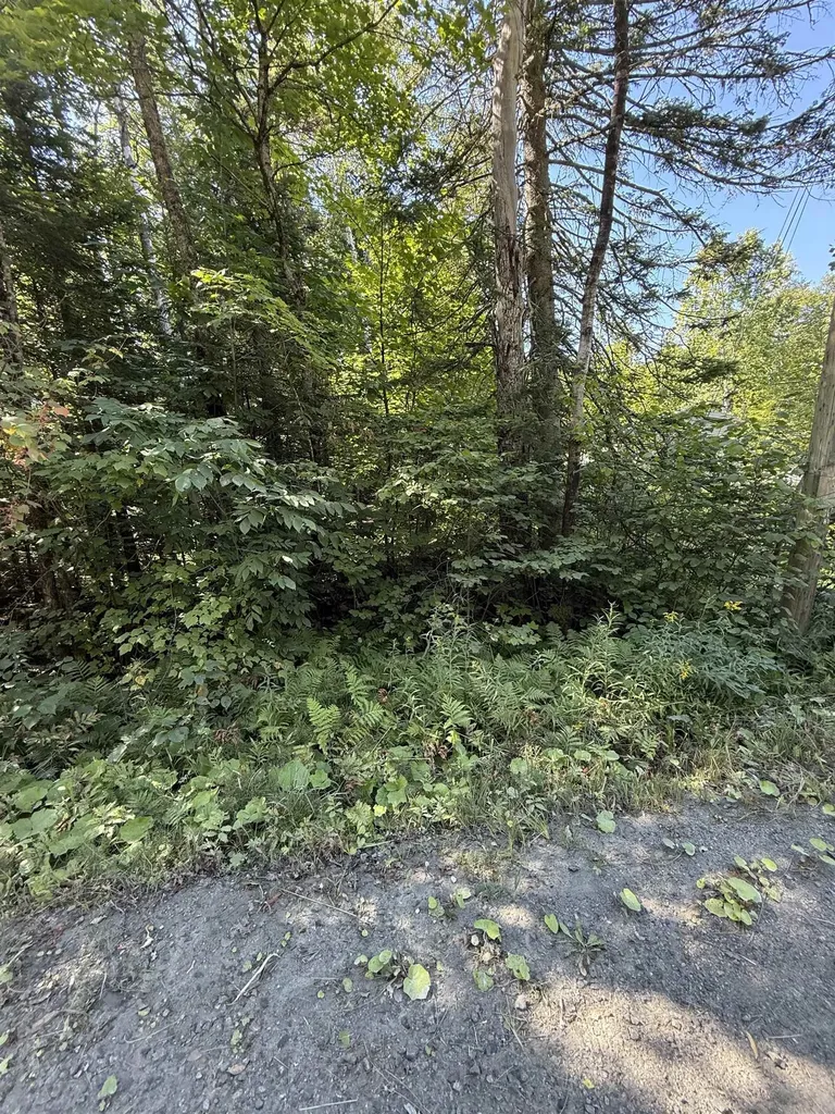 484 Therriault Hill Williamstown VT 05679-9680