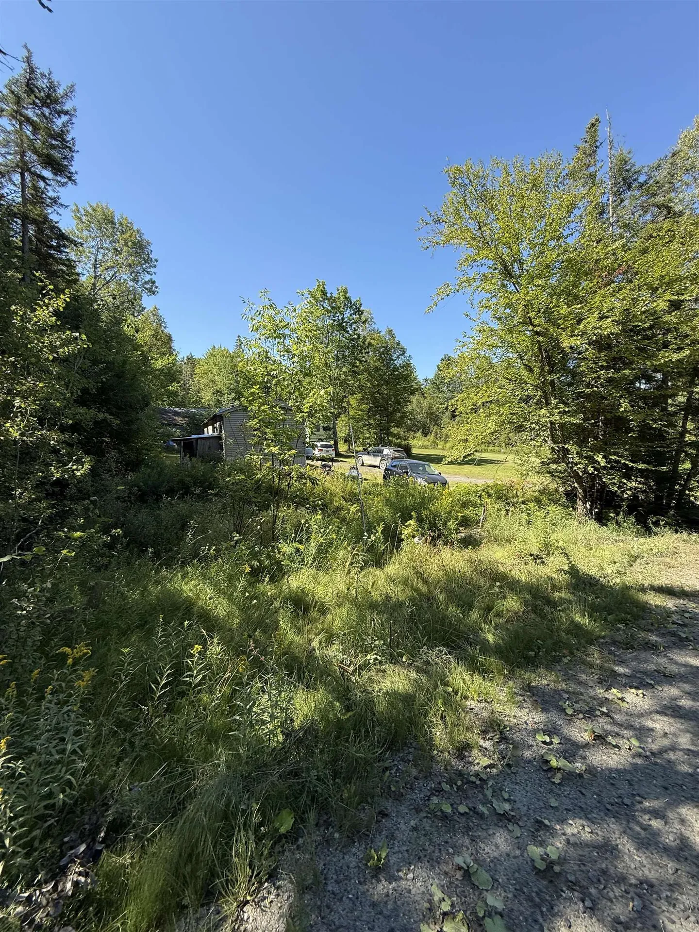 484 Therriault Hill Williamstown VT 05679-9680