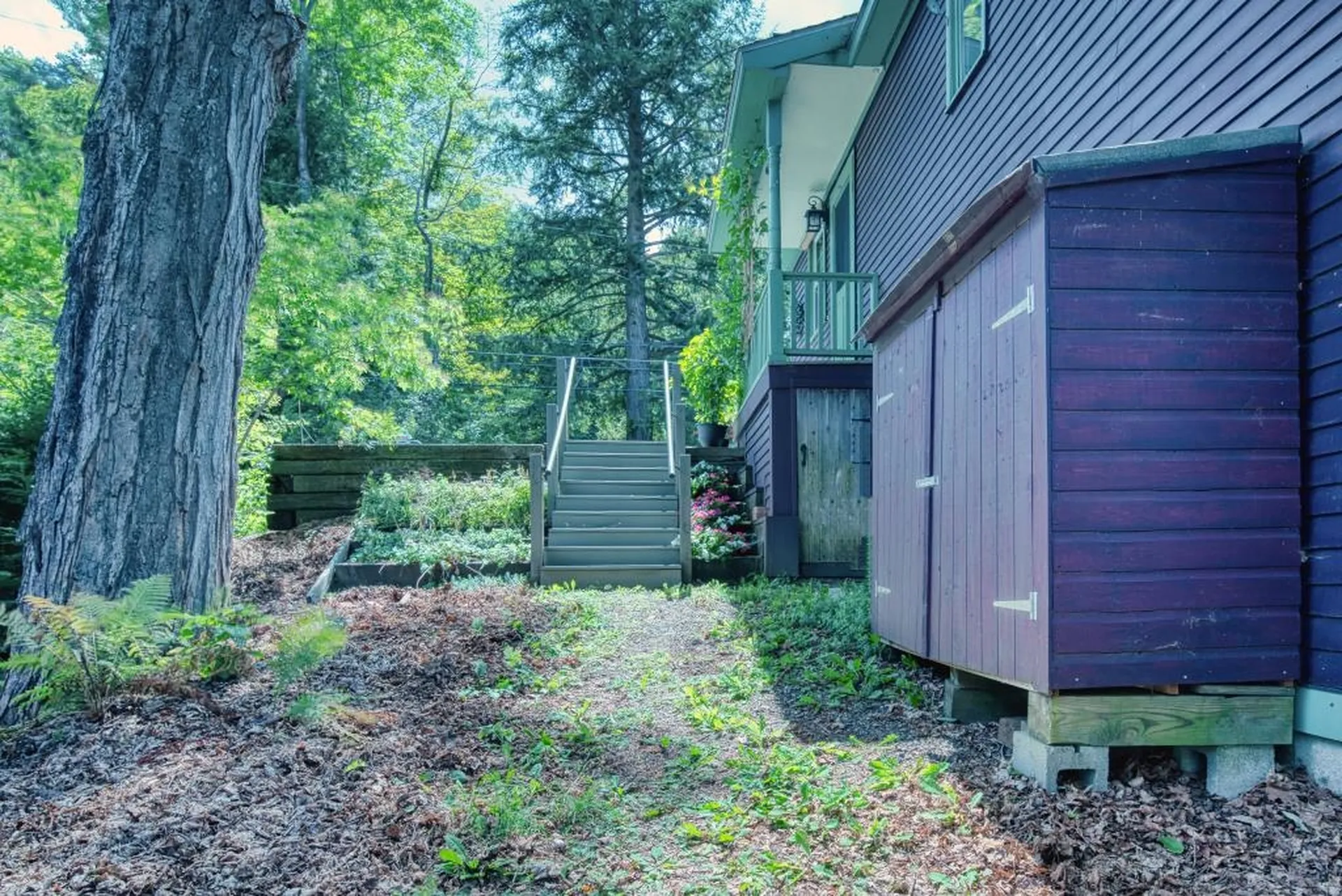 19 Prospect Street Woodstock VT 05091