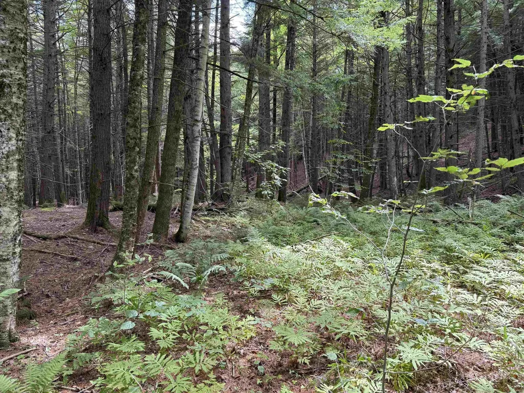 0 Hoey Road Cavendish VT 05142