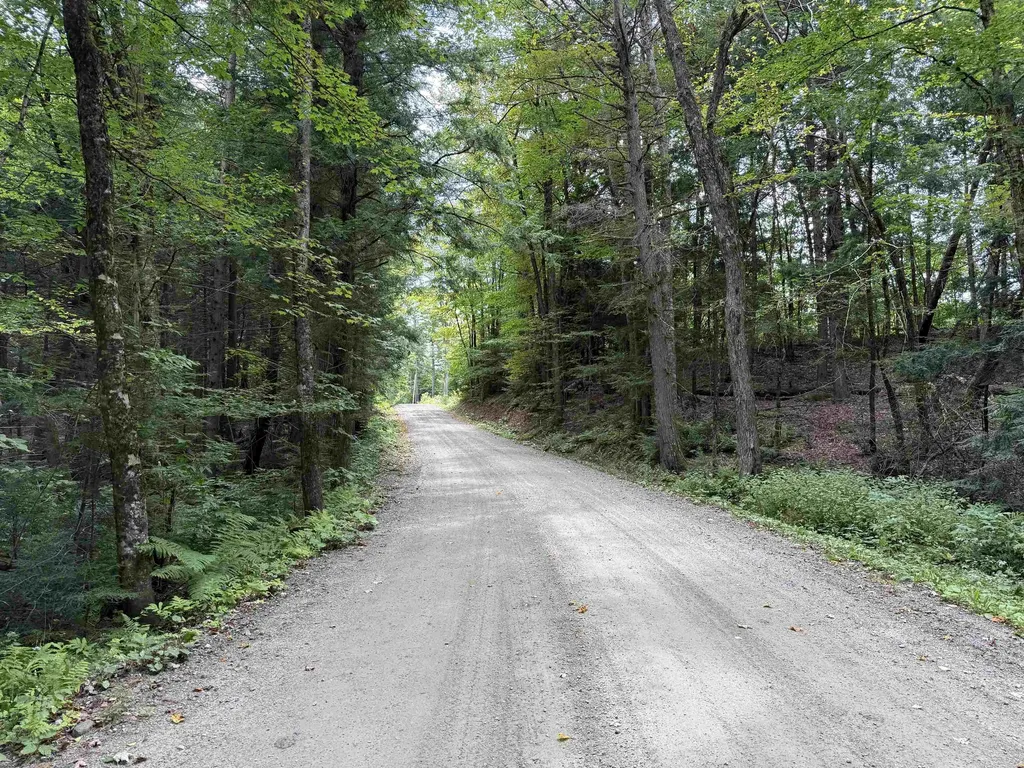 0 Hoey Road Cavendish VT 05142