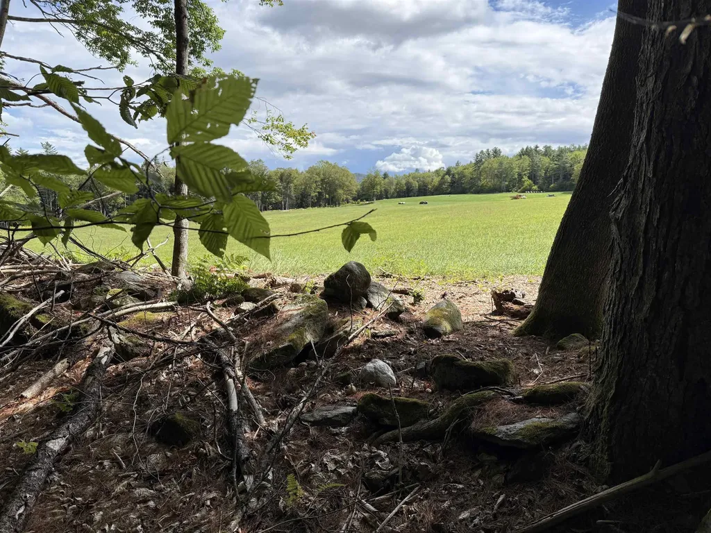 0 Hoey Road Cavendish VT 05142