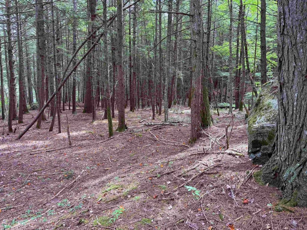 0 Hoey Road Cavendish VT 05142