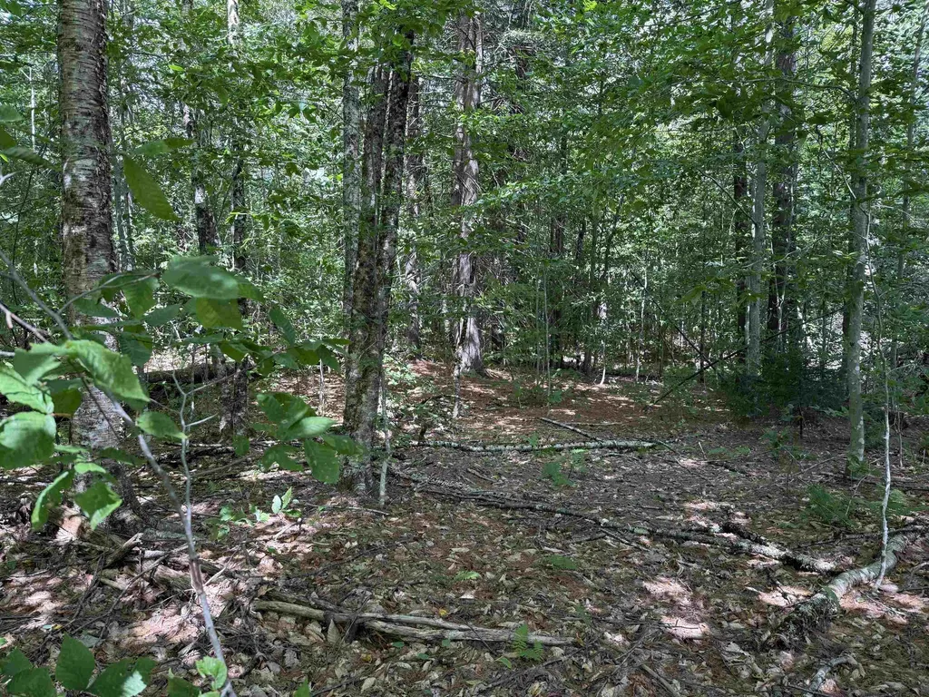 0 Hoey Road Cavendish VT 05142