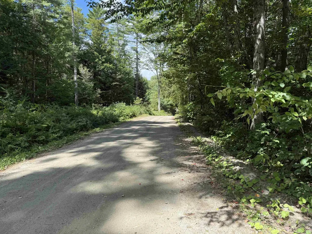 0 Hoey Road Cavendish VT 05142