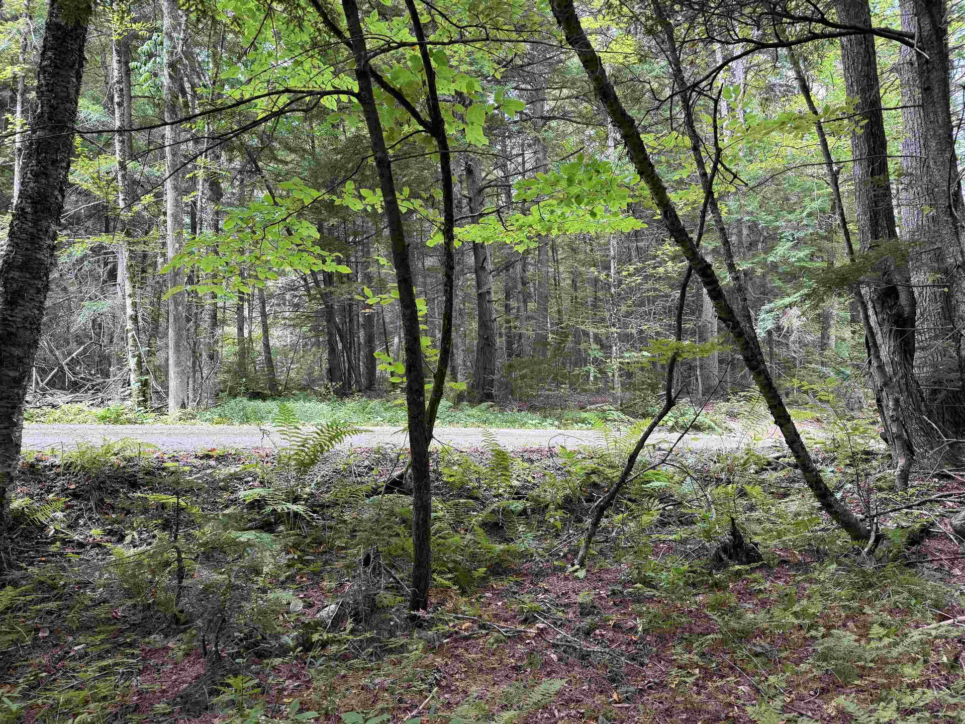 0 Hoey Road Cavendish VT 05142