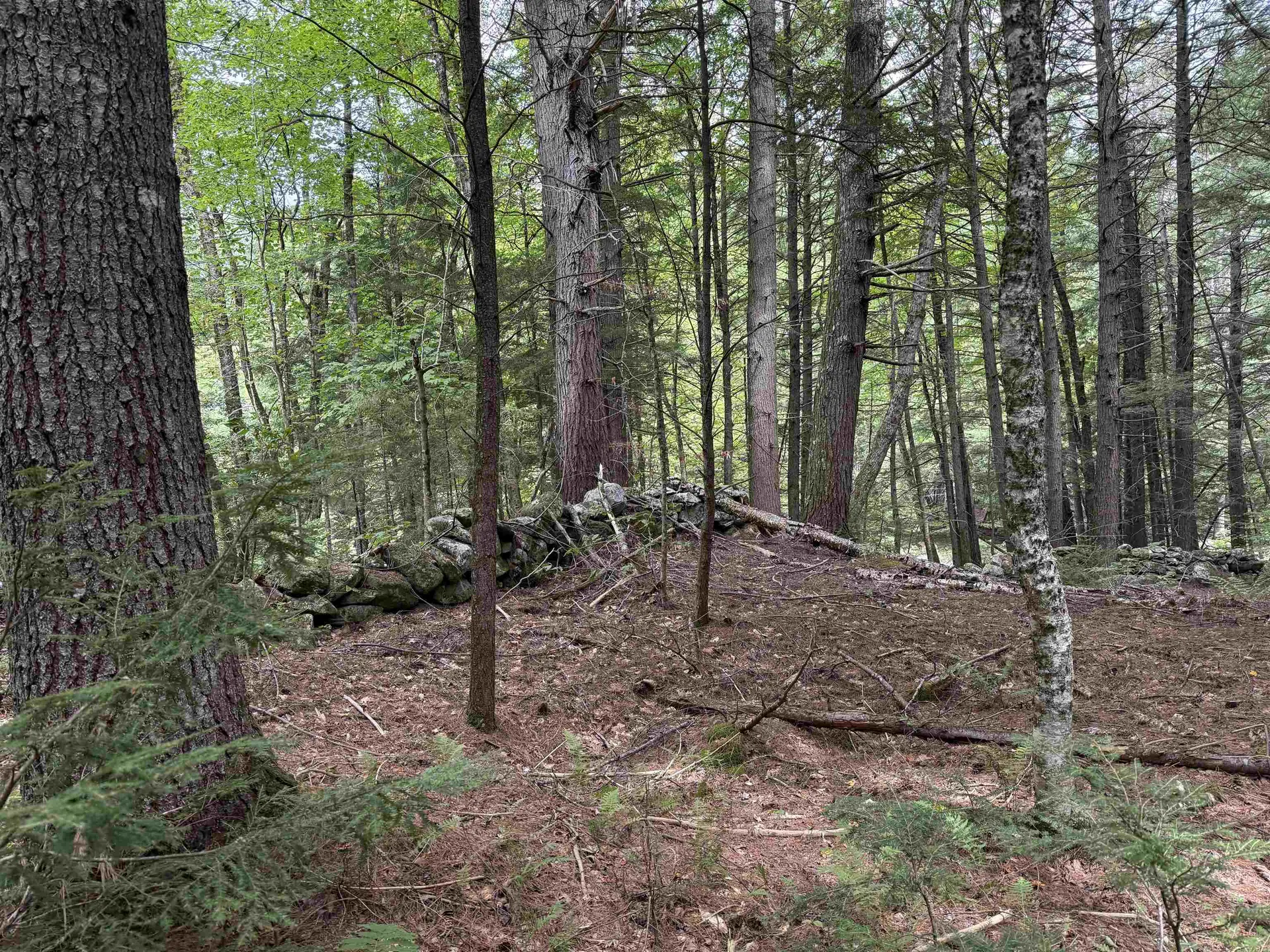 0 Hoey Road Cavendish VT 05142