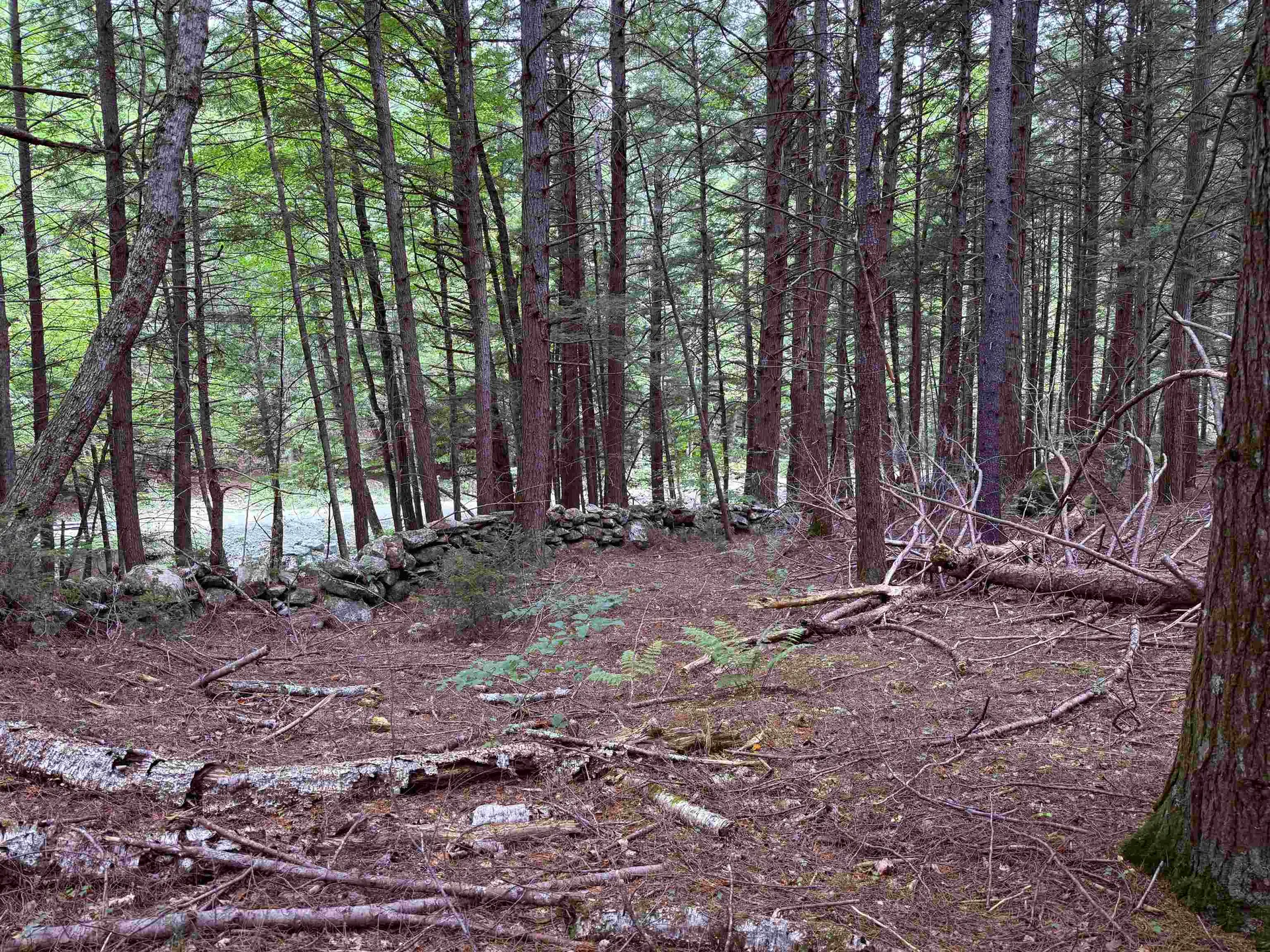 0 Hoey Road Cavendish VT 05142