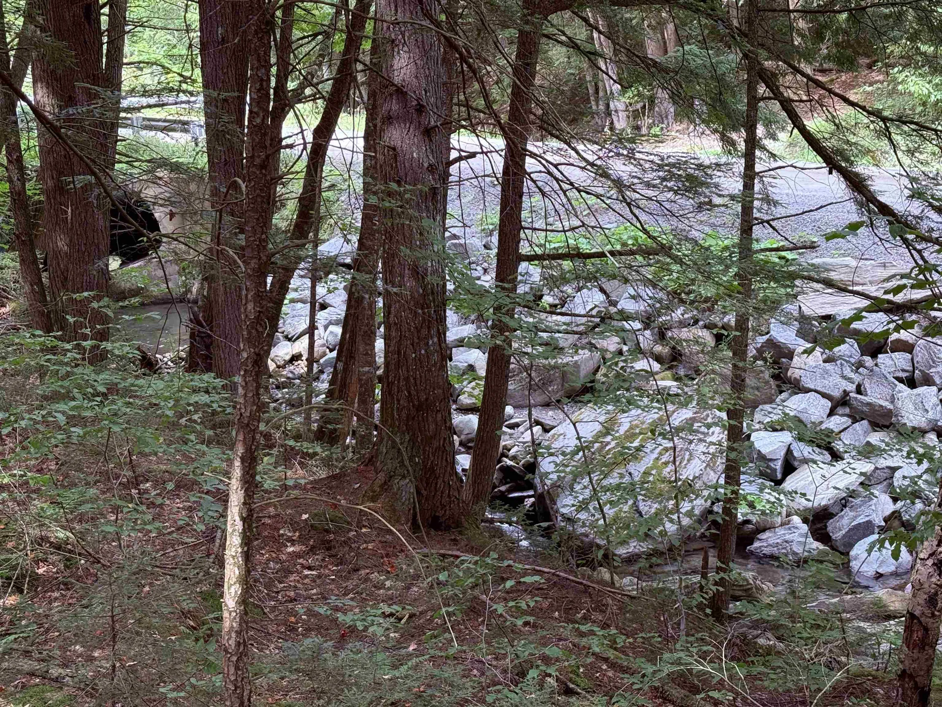 0 Hoey Road Cavendish VT 05142