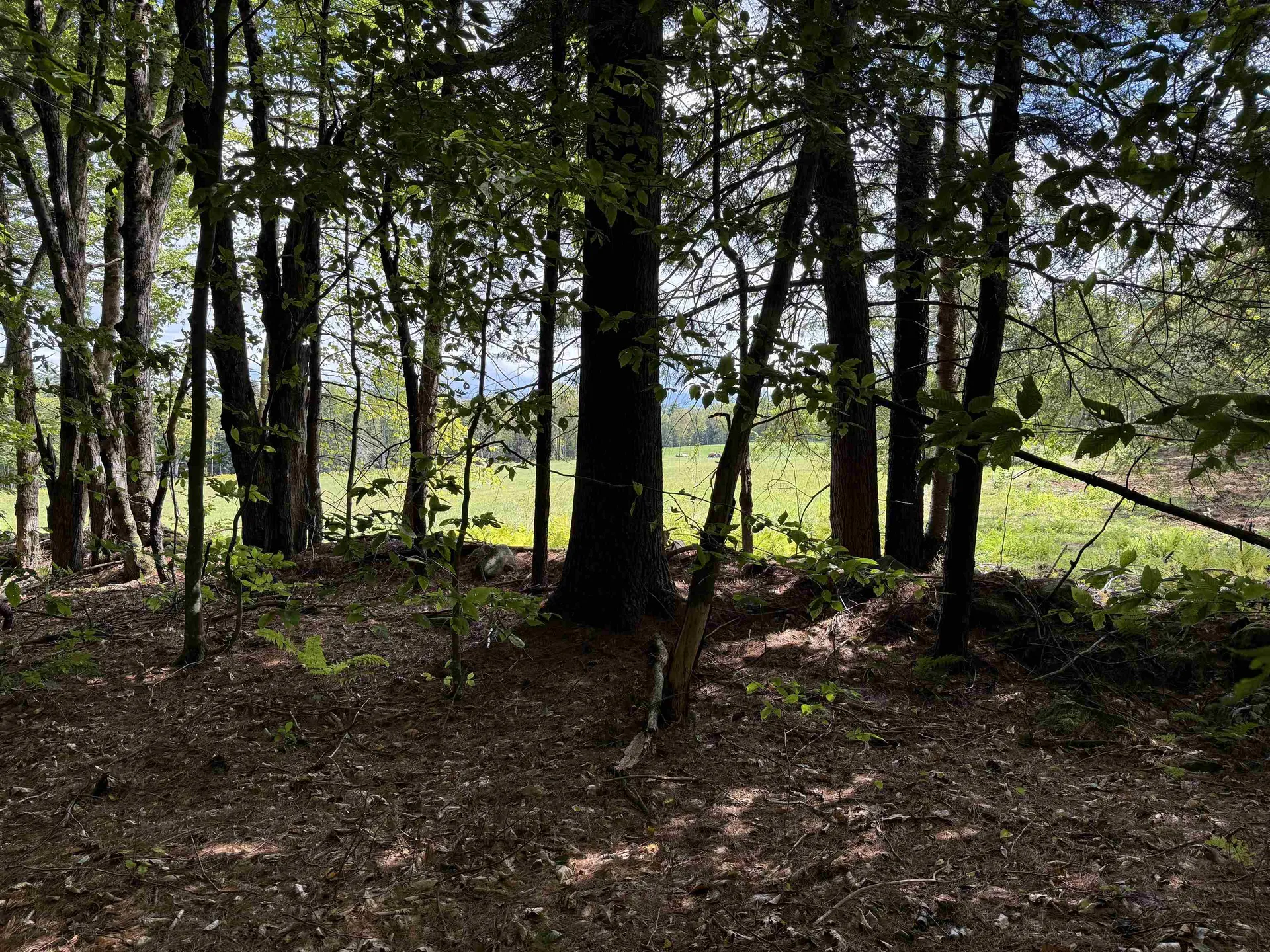 0 Hoey Road Cavendish VT 05142