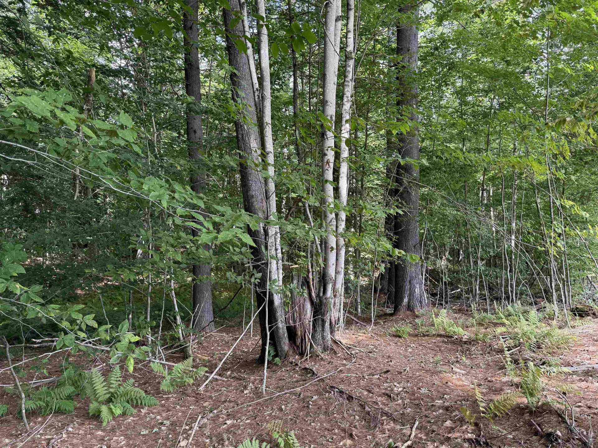 0 Hoey Road Cavendish VT 05142