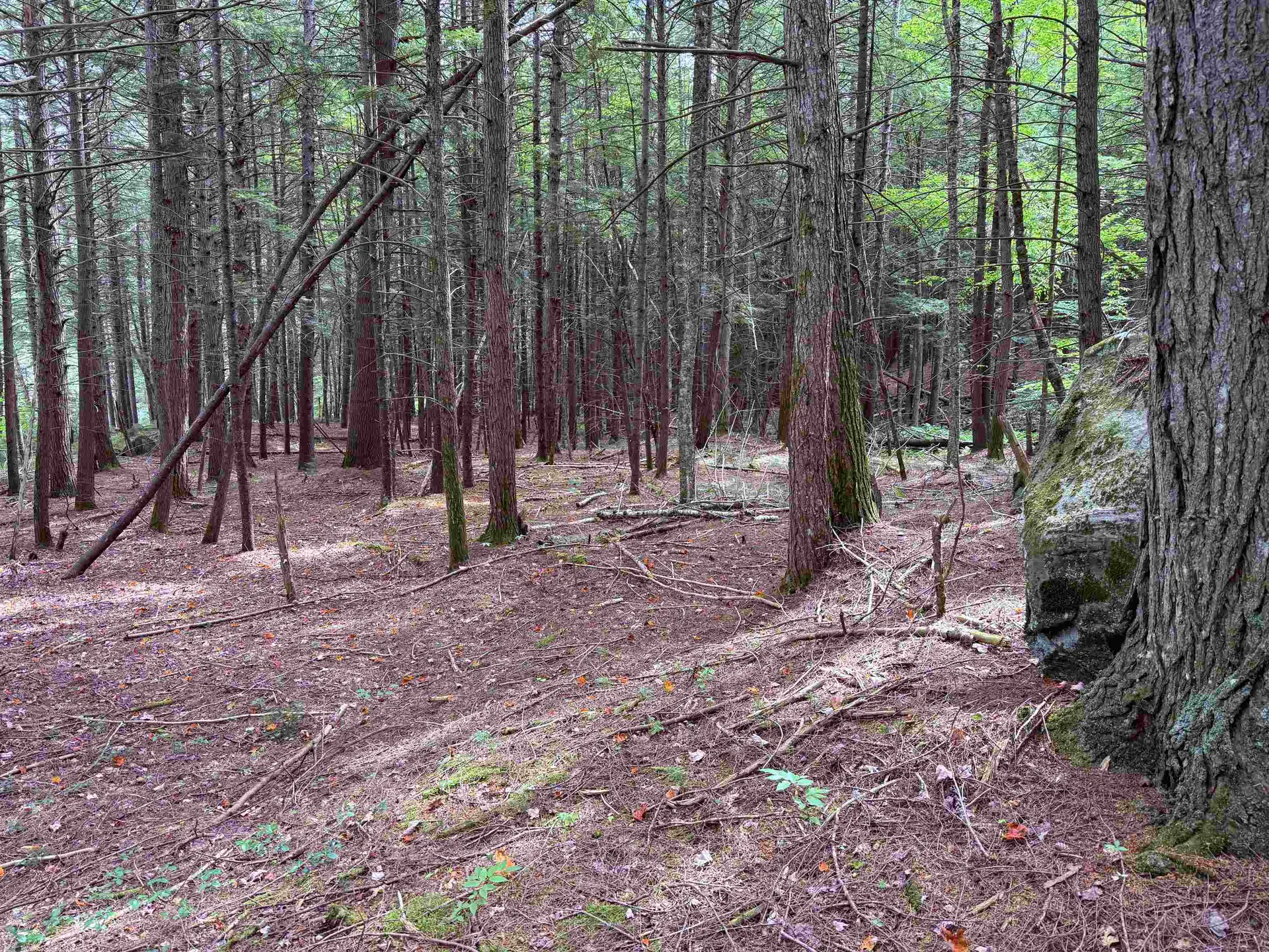 0 Hoey Road Cavendish VT 05142