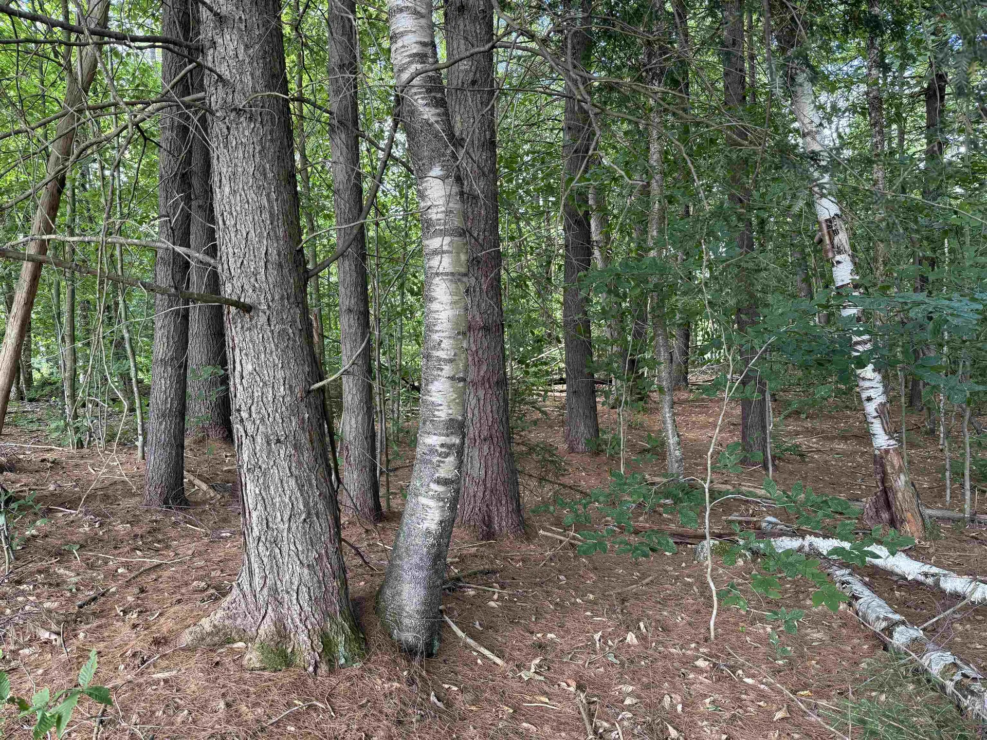 0 Hoey Road Cavendish VT 05142