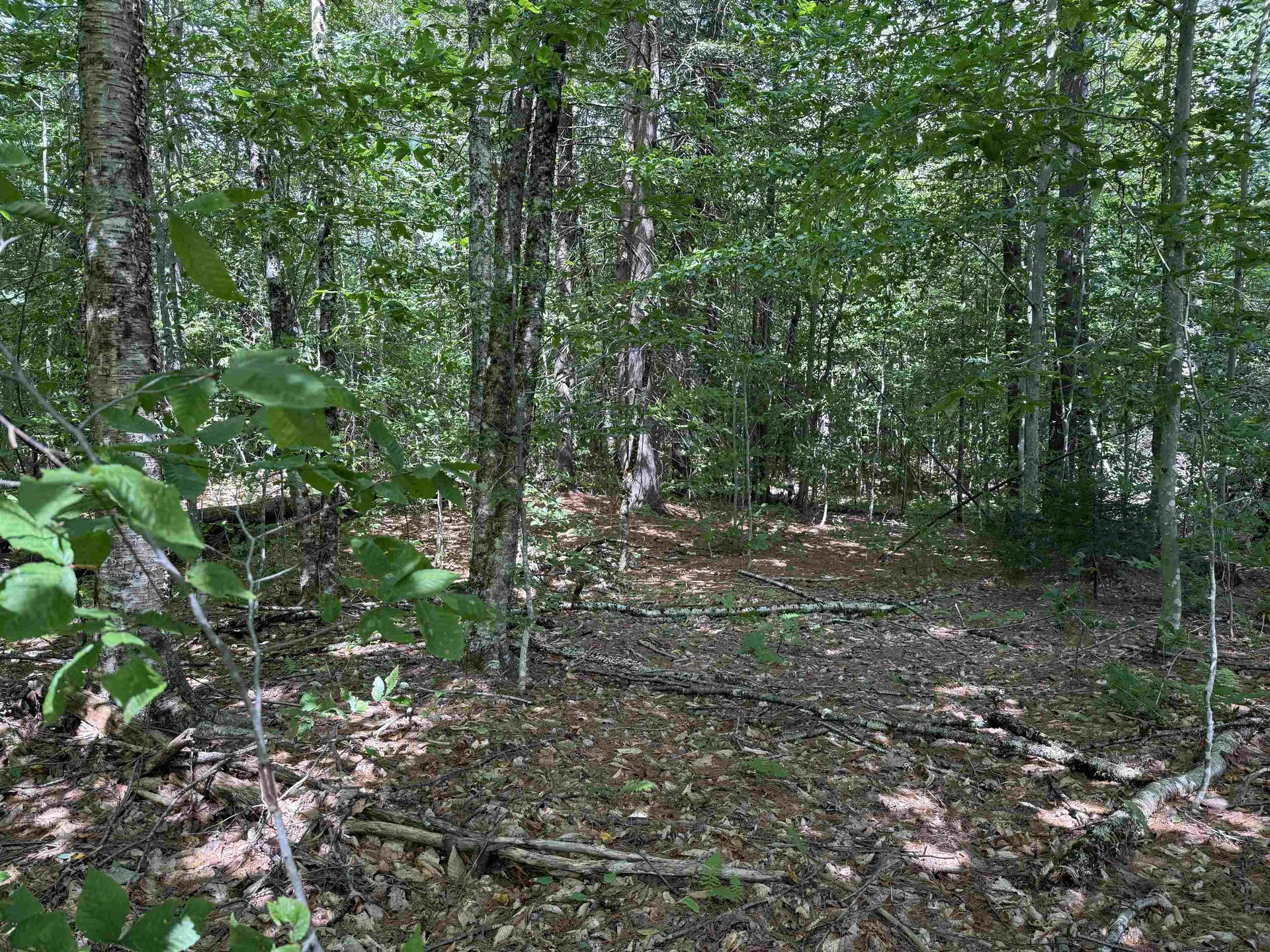 0 Hoey Road Cavendish VT 05142