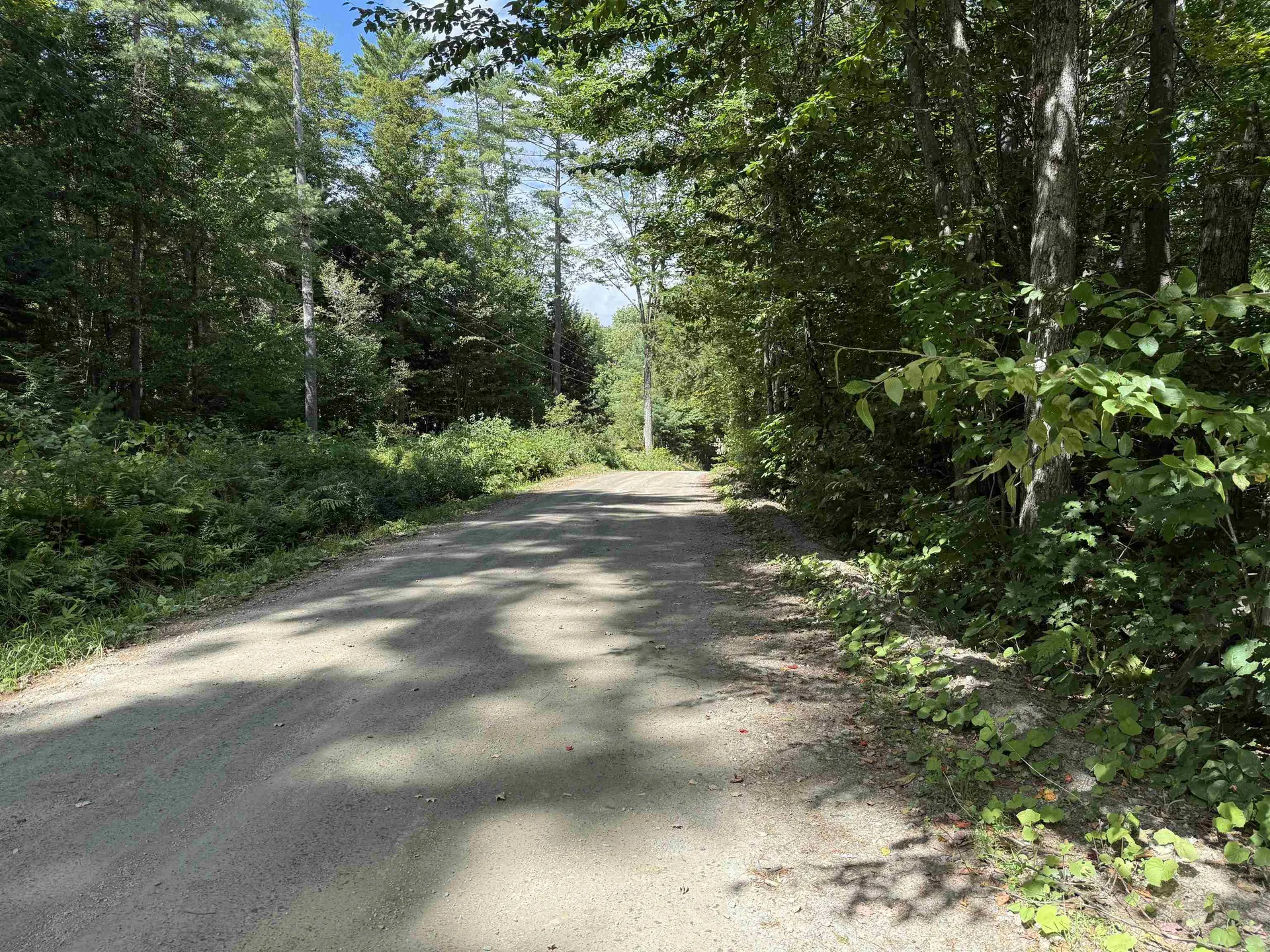 0 Hoey Road Cavendish VT 05142