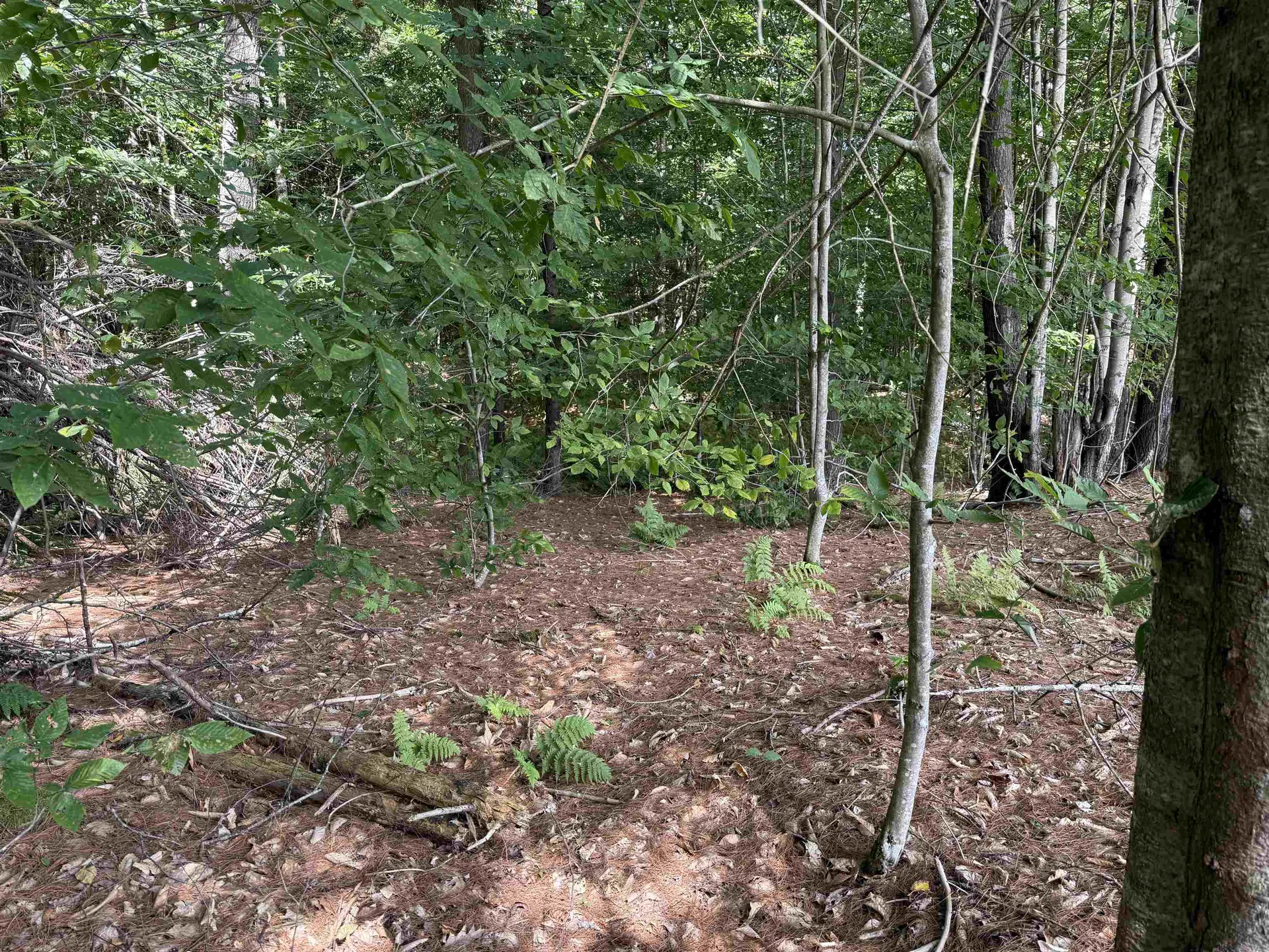 0 Hoey Road Cavendish VT 05142