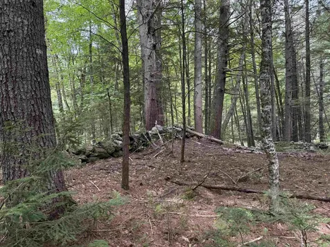 0 Hoey Road Cavendish VT 05142