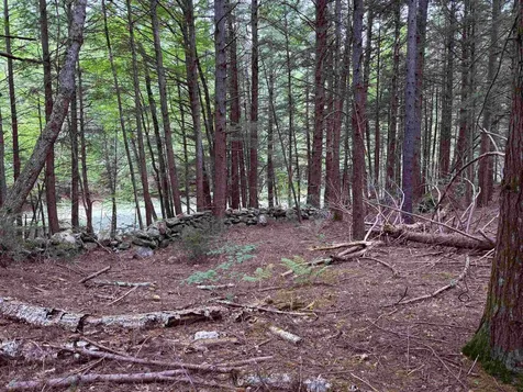 0 Hoey Road Cavendish VT 05142