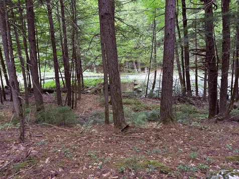 0 Hoey Road Cavendish VT 05142