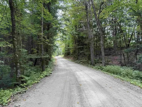 0 Hoey Road Cavendish VT 05142