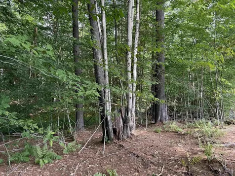 0 Hoey Road Cavendish VT 05142