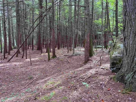 0 Hoey Road Cavendish VT 05142