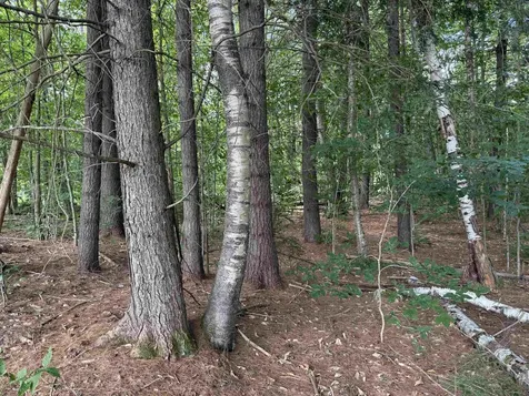 0 Hoey Road Cavendish VT 05142