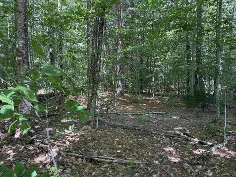 0 Hoey Road Cavendish VT 05142